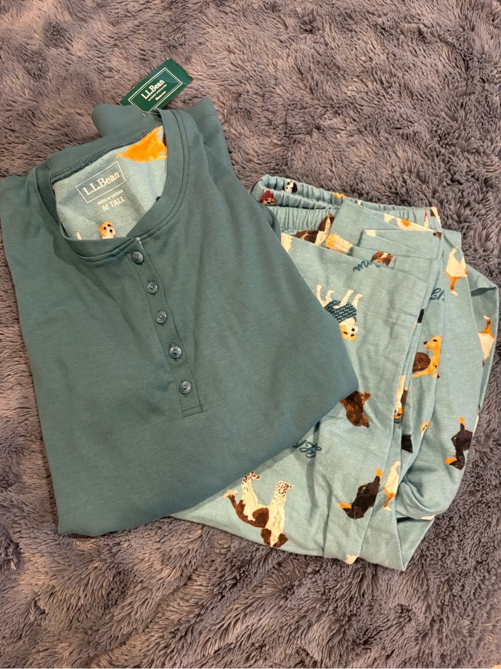 L.L. Bean Teal Henley Top with Aqua Dog-Print Pajama Pants - Picture 2 of 3